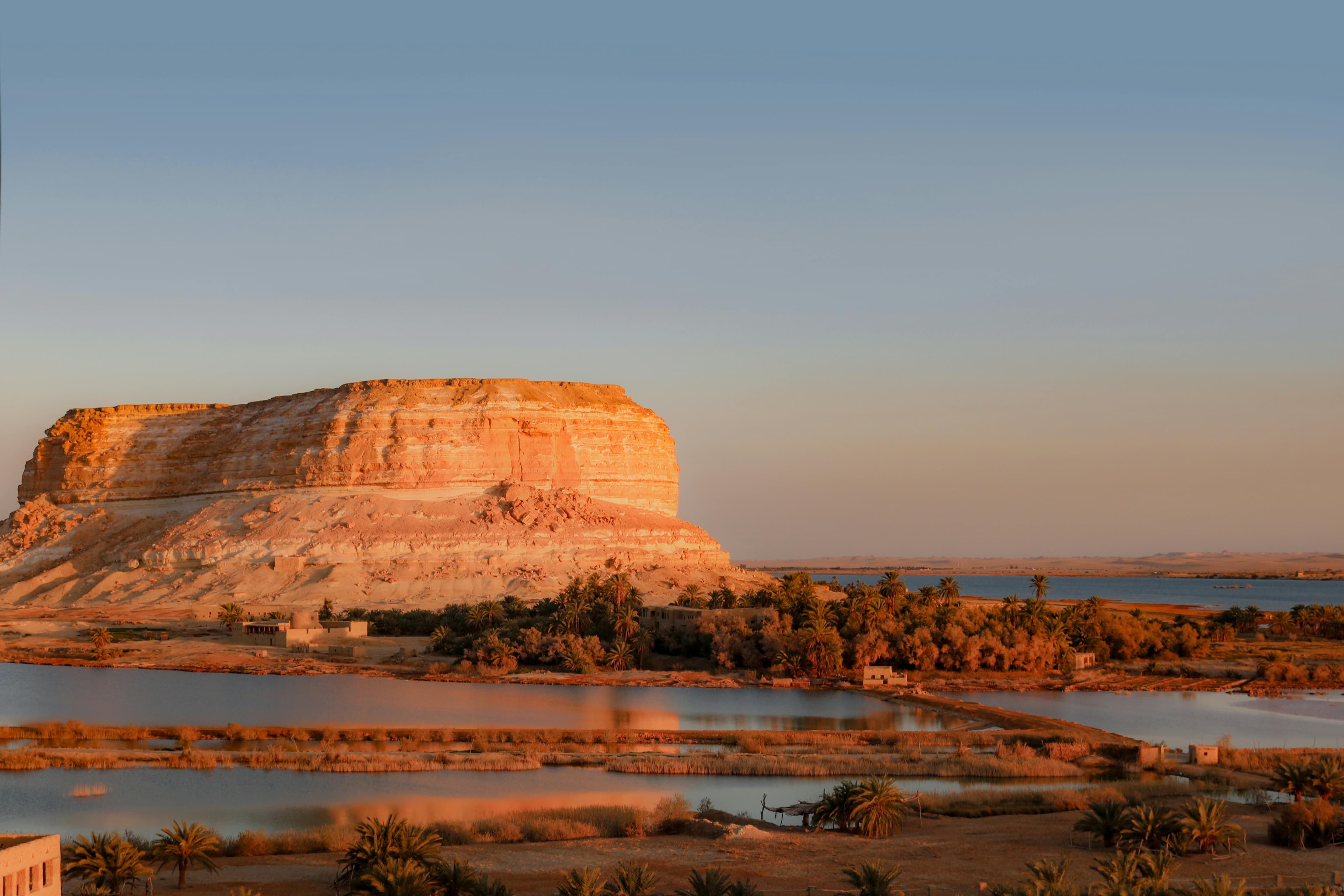 Siwa Oasis Safari